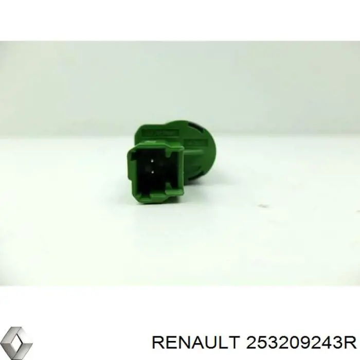 Жабка тормозу 253209243R Renault (RVI)