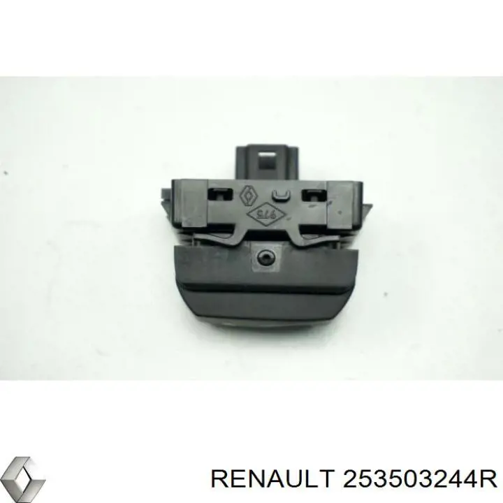 253503244R Renault (RVI) 