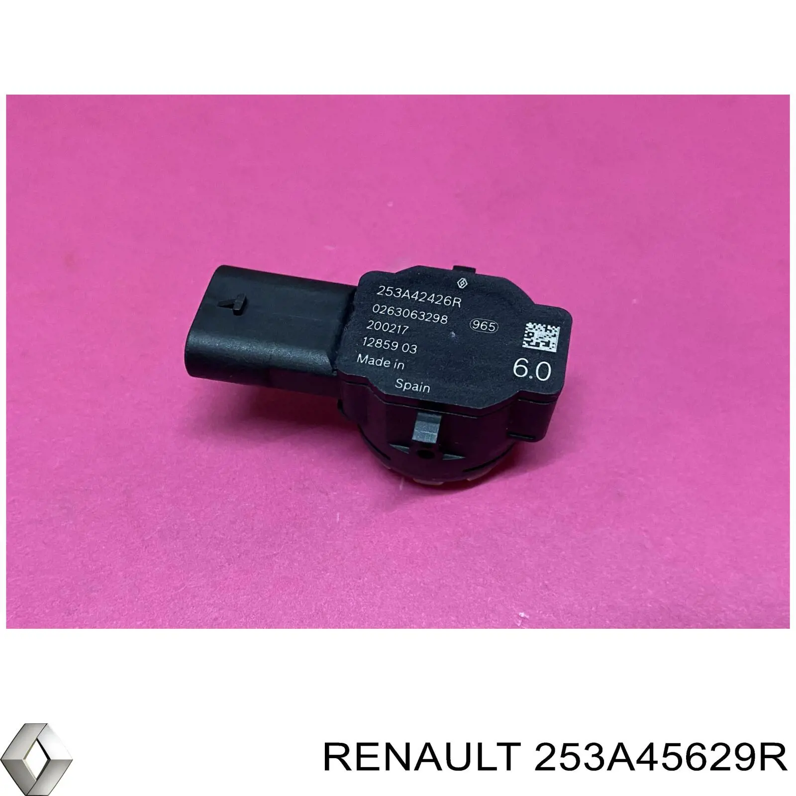 253A45629R Renault (RVI) 