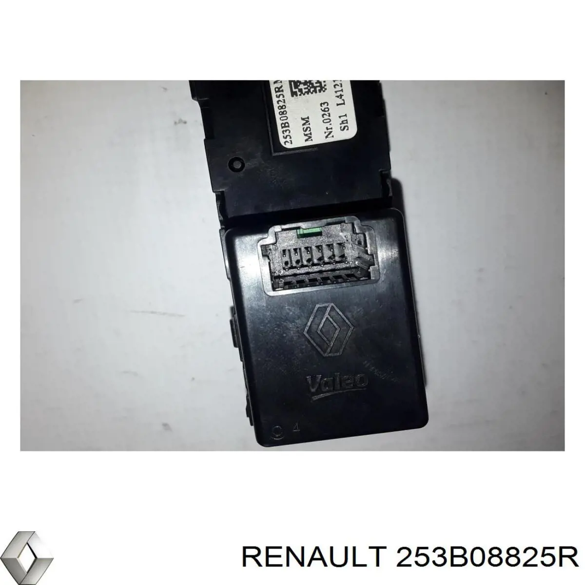  253B08825R Renault (RVI)