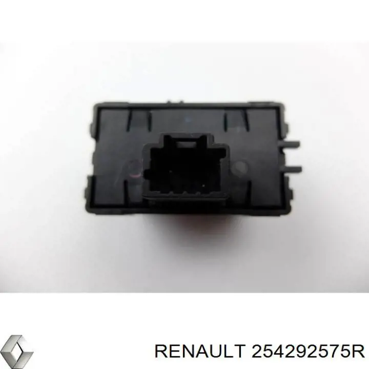 254292575R Renault (RVI) 