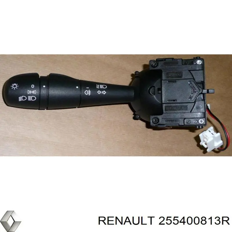  255400813R Renault (RVI)