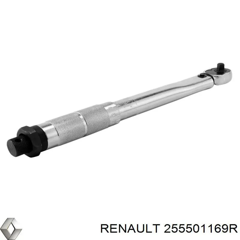 Купити 255501169R Renault (RVI) 