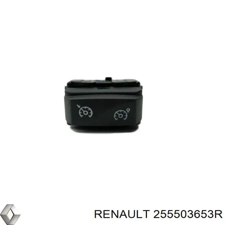 255503653R Renault (RVI) 