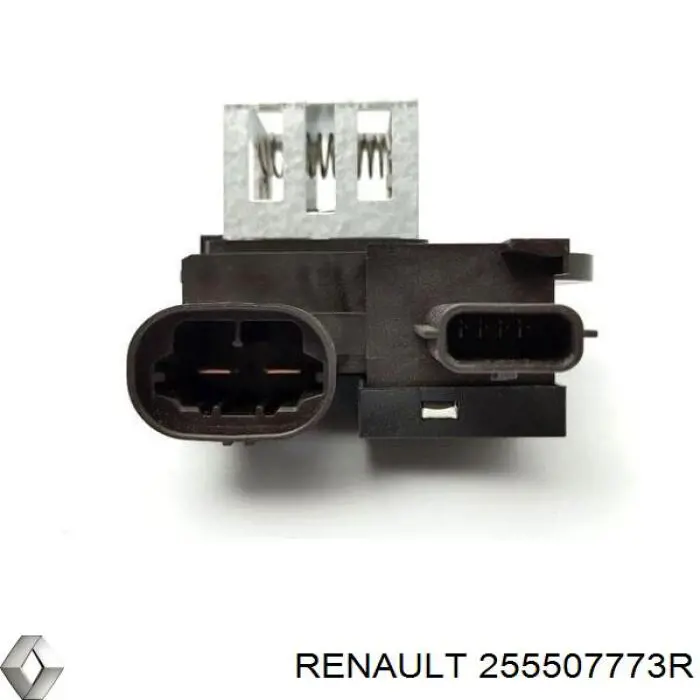  255507773R Renault (RVI)