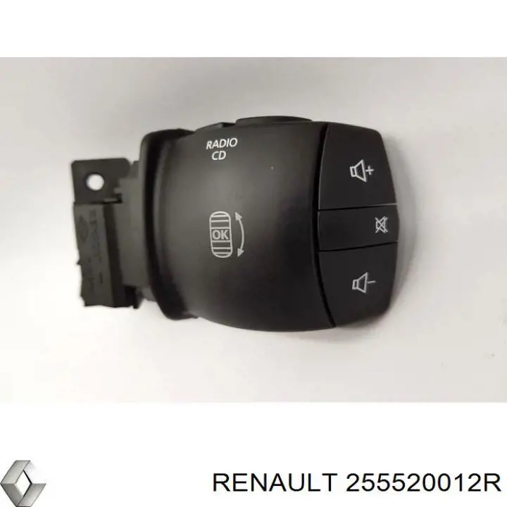  255520012R Renault (RVI)