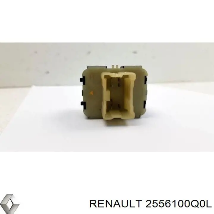  2556100Q0L Nissan/Infiniti