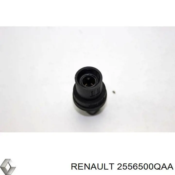 Датчик спідометра Renault (RVI) 2556500QAA