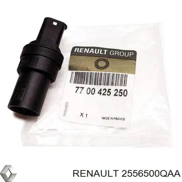  2556500QAA Renault (RVI)