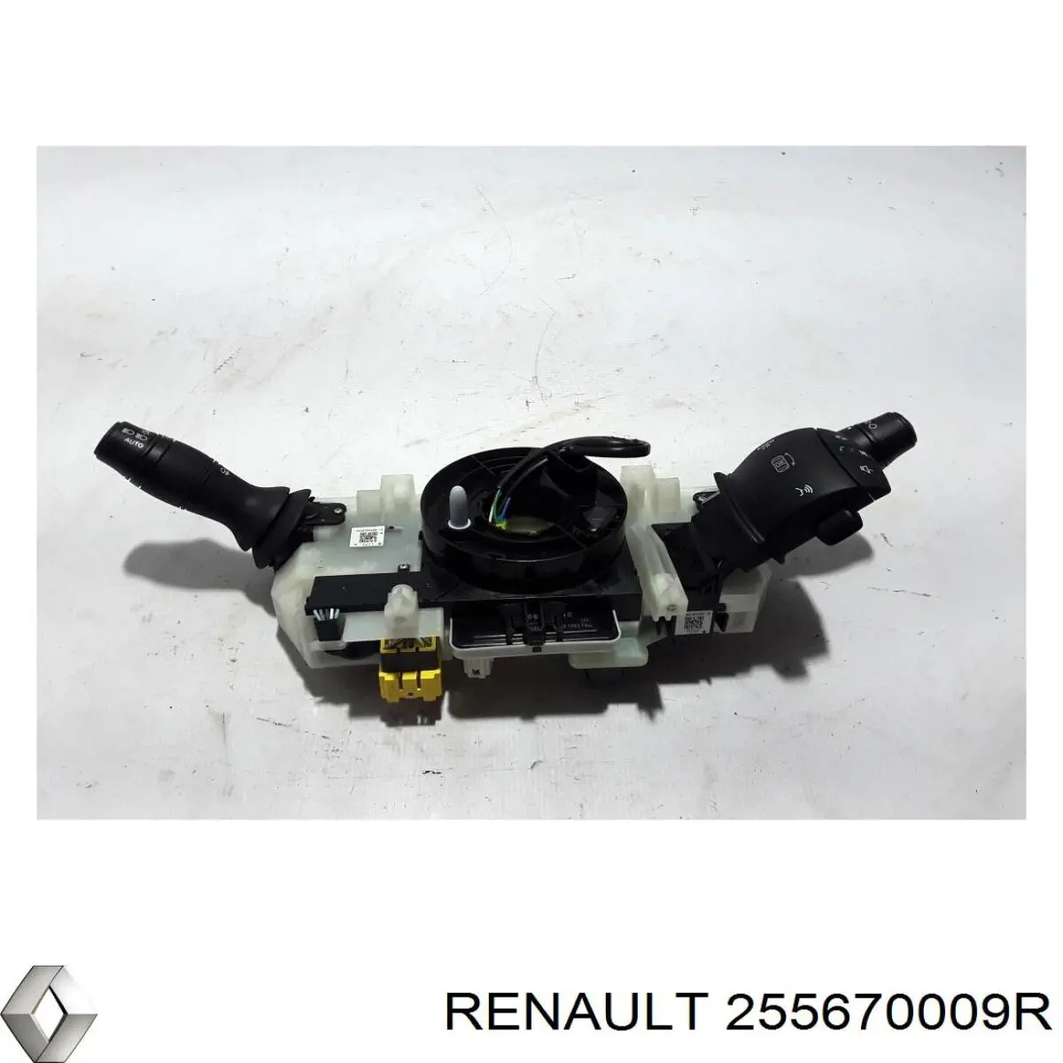 255670009R Renault (RVI) 