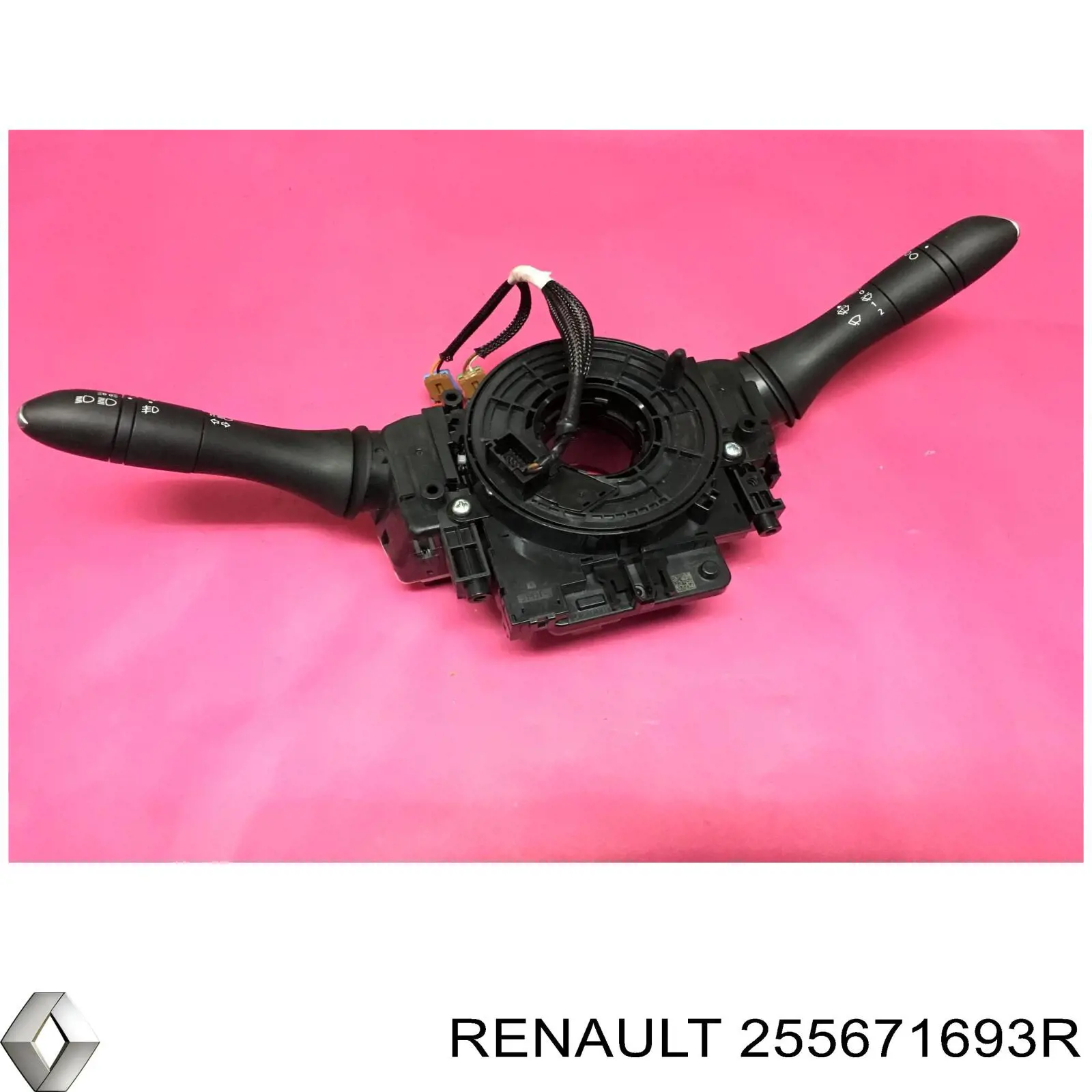 255671693R Renault (RVI) 