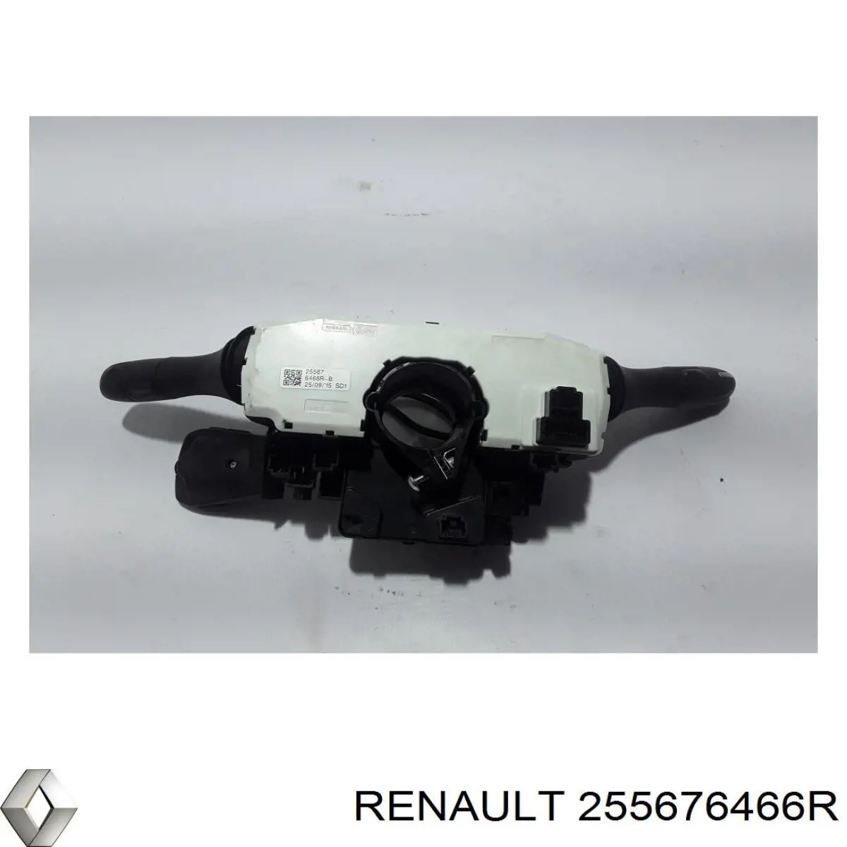 Купити 255676466R Renault (RVI) 