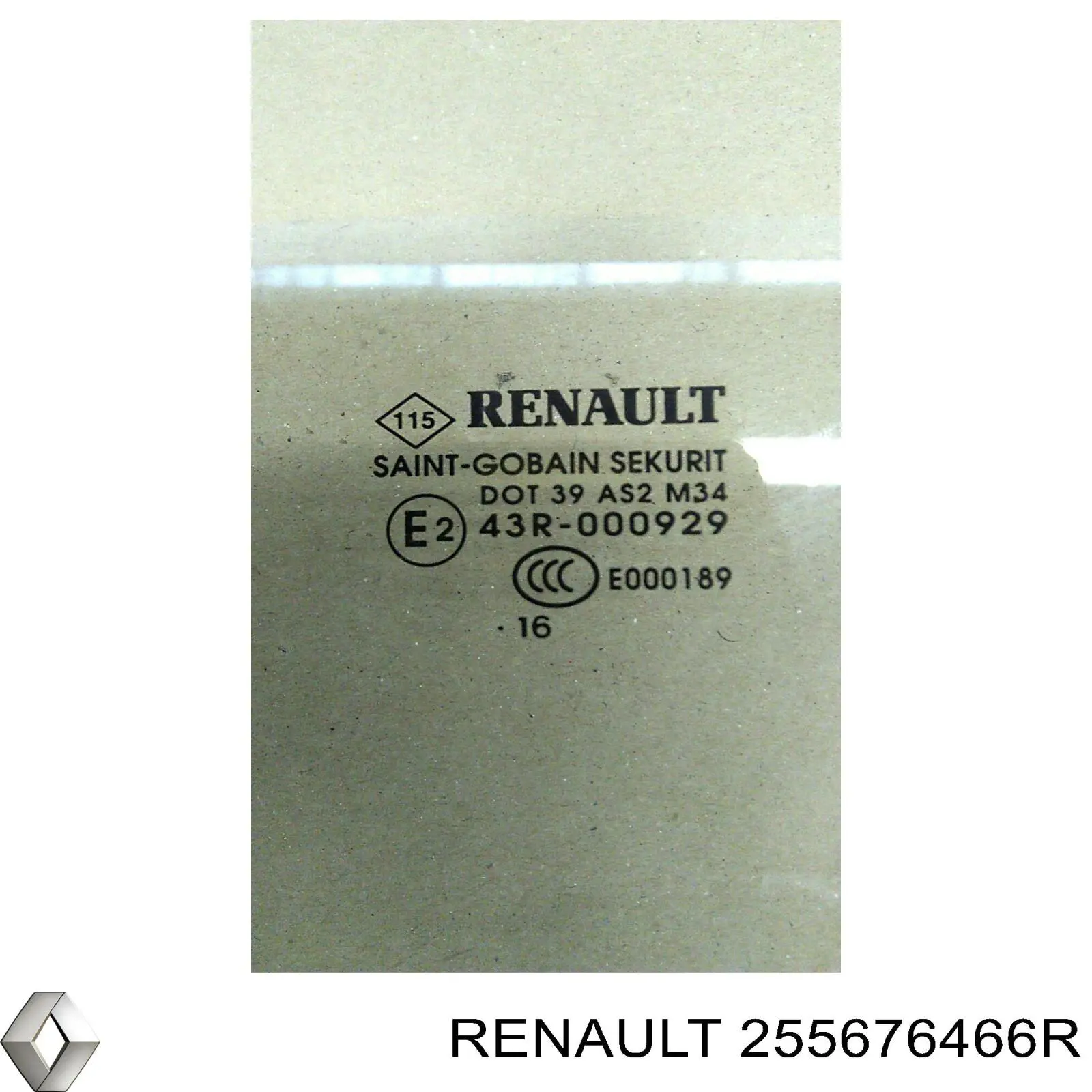 255676466R Renault (RVI) 
