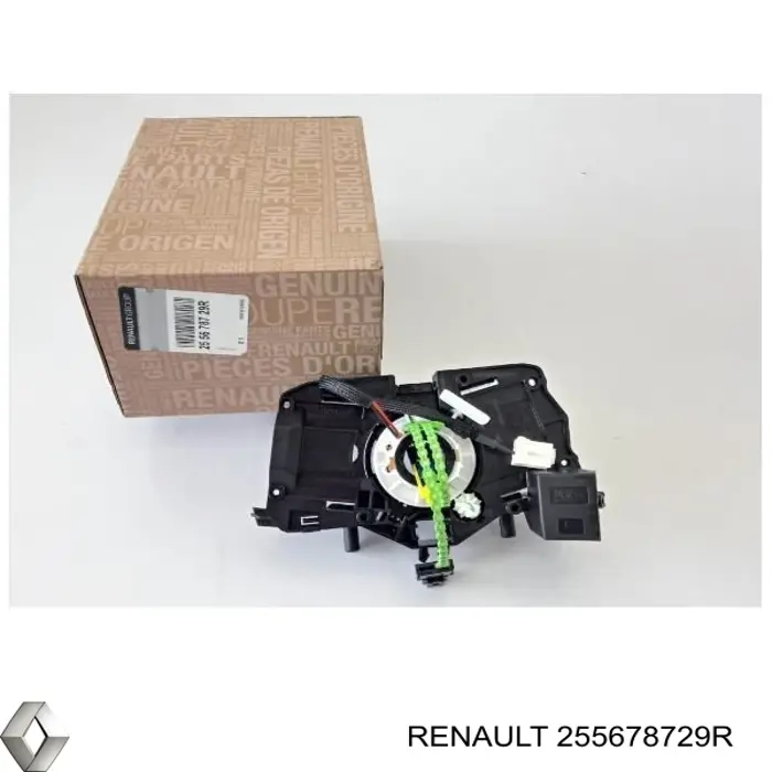  255678729R Renault (RVI)