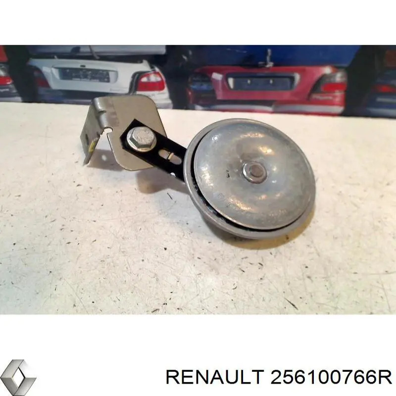 256100766R Renault (RVI) 