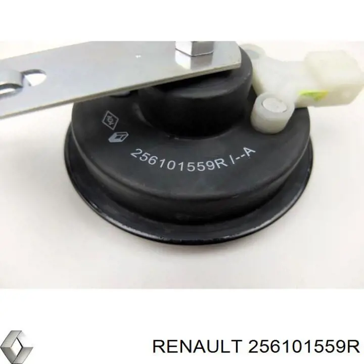 256101559R Renault (RVI) 