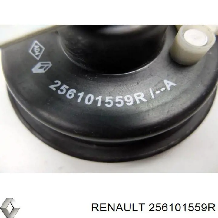  Renault (RVI) 256101559R ціна, від 8.88 USD