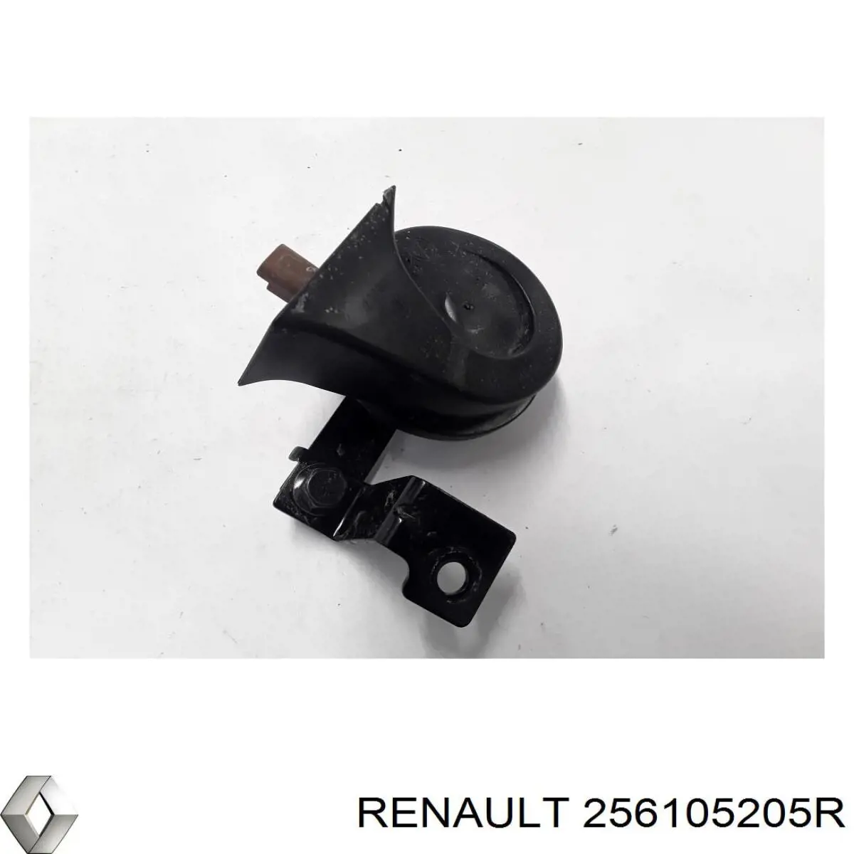 256105205R Renault (RVI)