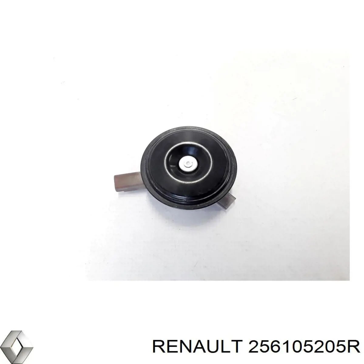 256105205R Renault (RVI) 