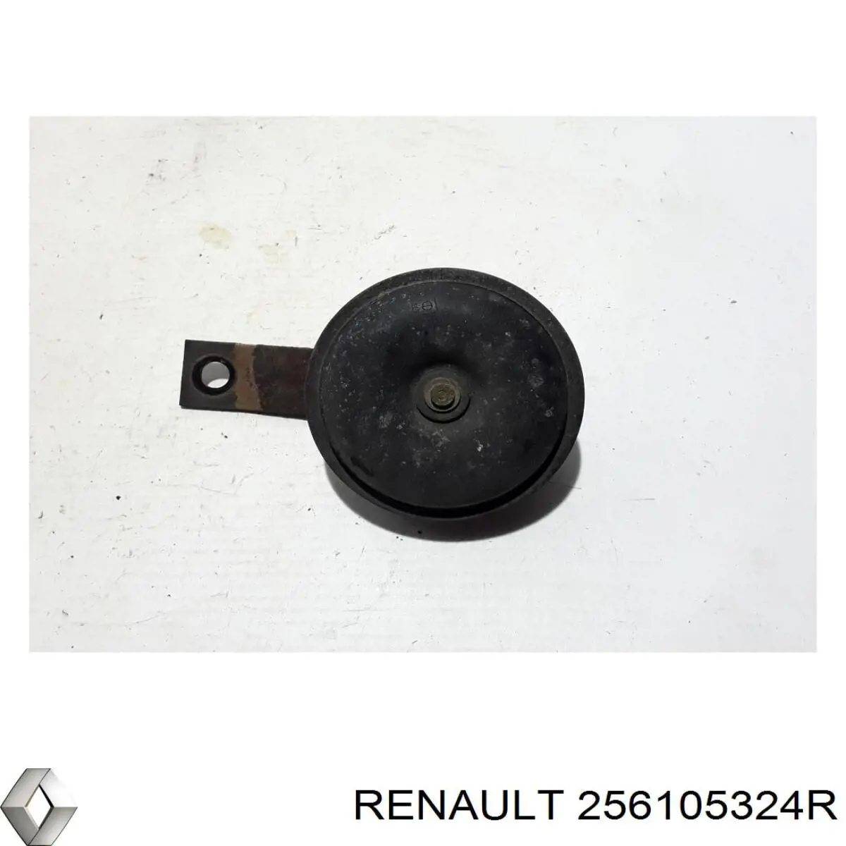  Renault (RVI) 256105324R ціна, від 12.40 USD