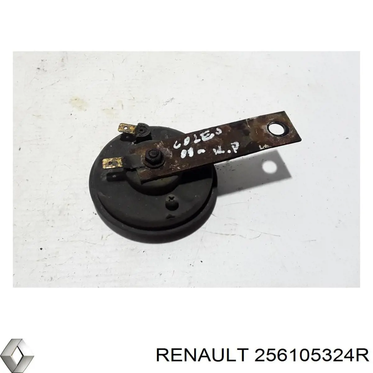 256105324R Renault (RVI) 