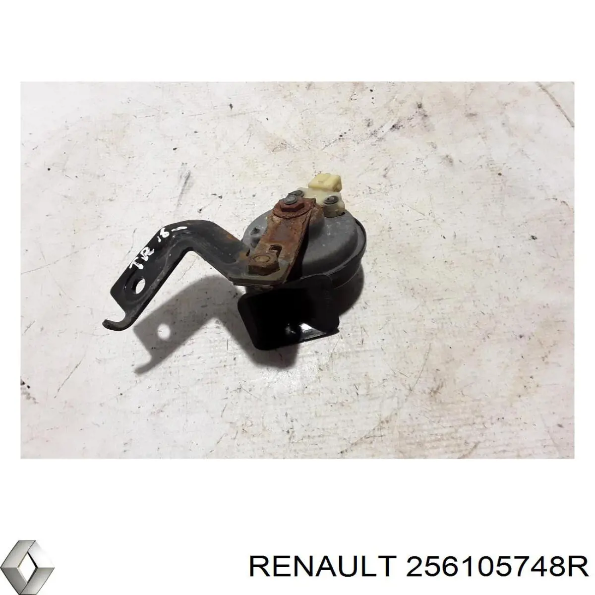 Купити 256105748R Renault (RVI) 