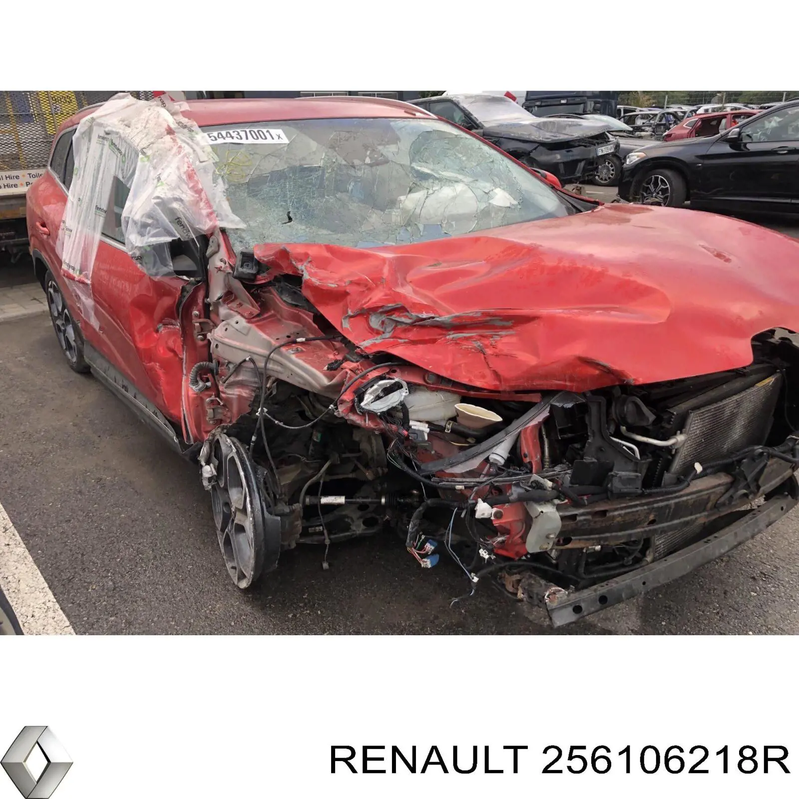 Renault (RVI) 256106218R