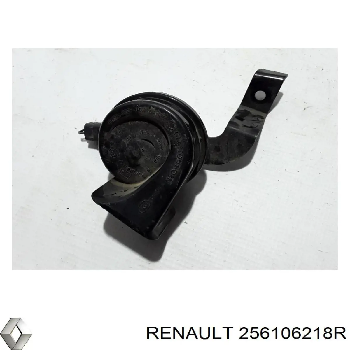 256106218R Renault (RVI) 