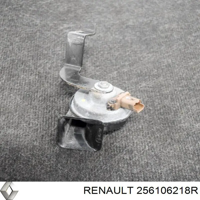 256106218R Renault (RVI) 