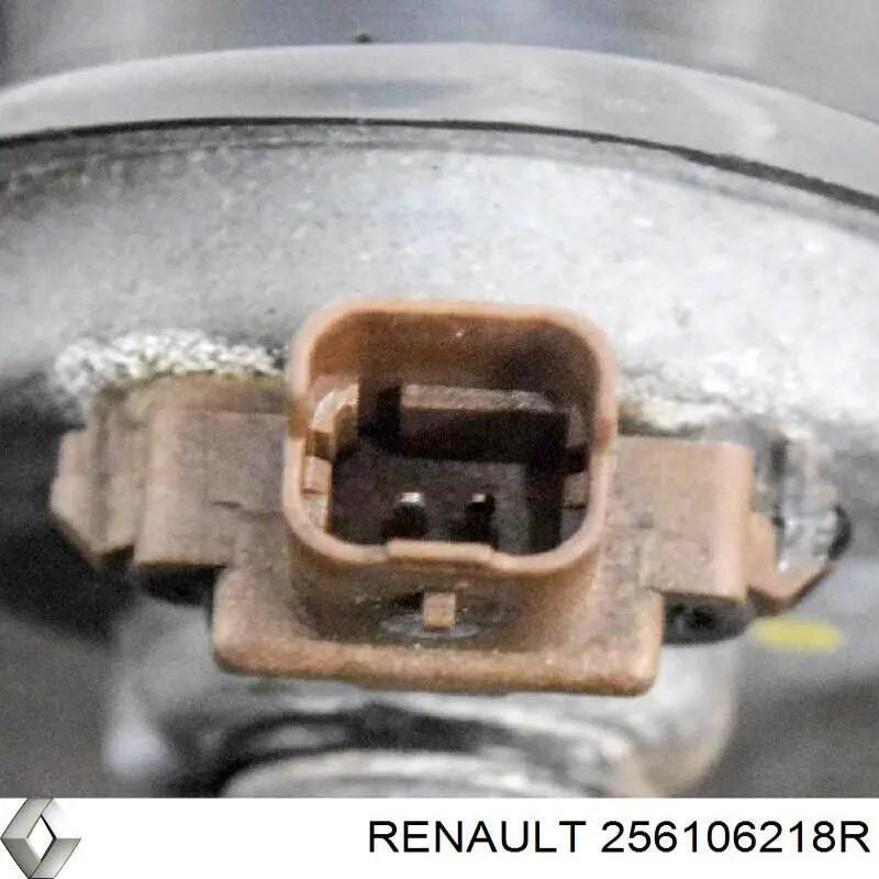  Renault (RVI) 256106218R ціна, від 46.88 USD