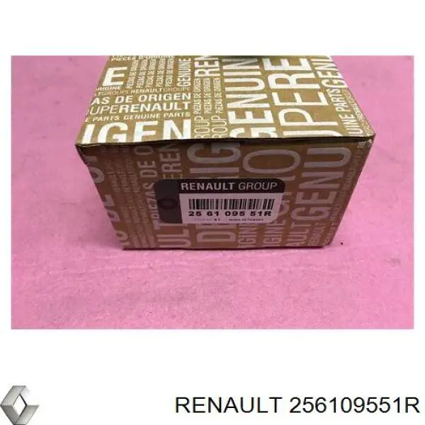 Купити 256100004R Renault (RVI) Сигнал звукової, клаксон