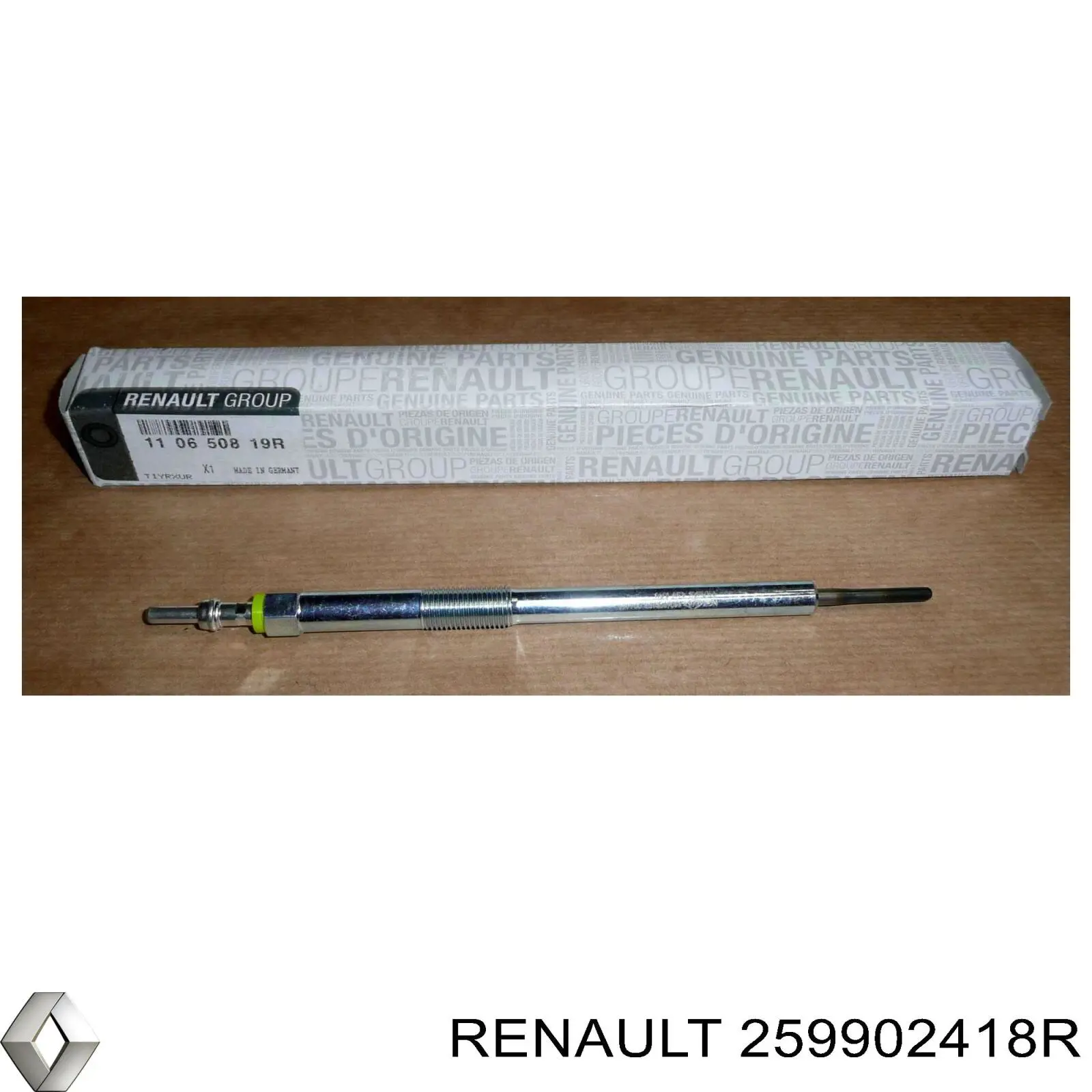 259902418R Renault (RVI) 