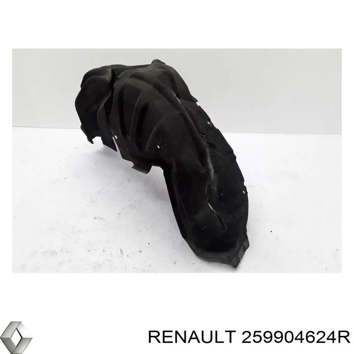  Renault (RVI) 259904624R