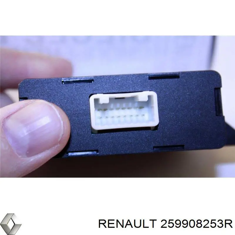 259908253R Renault (RVI) 