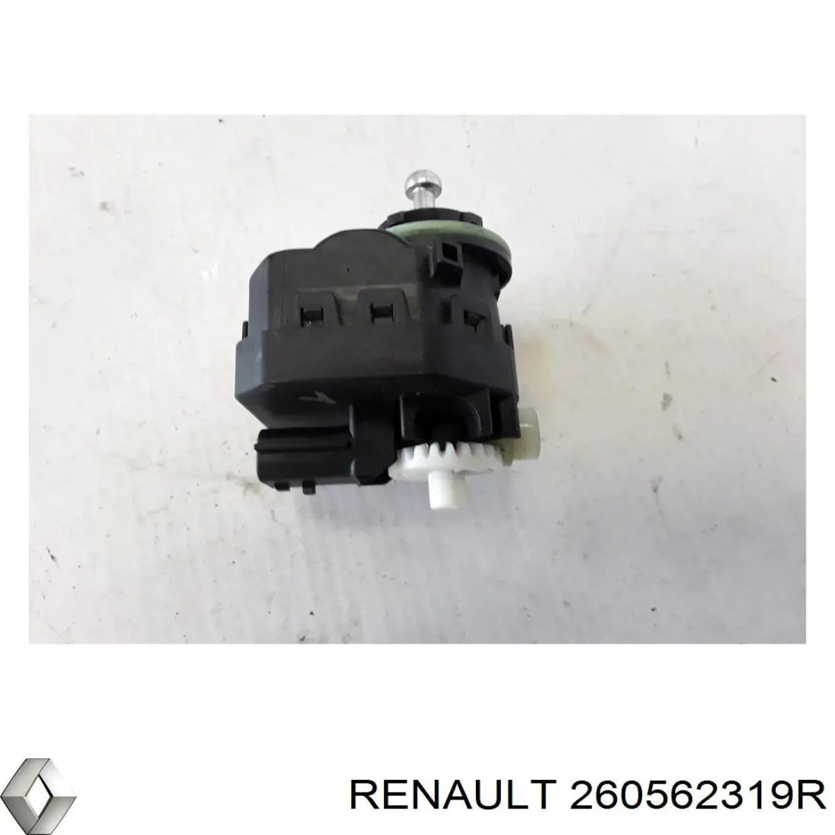 260562319R Renault (RVI) 