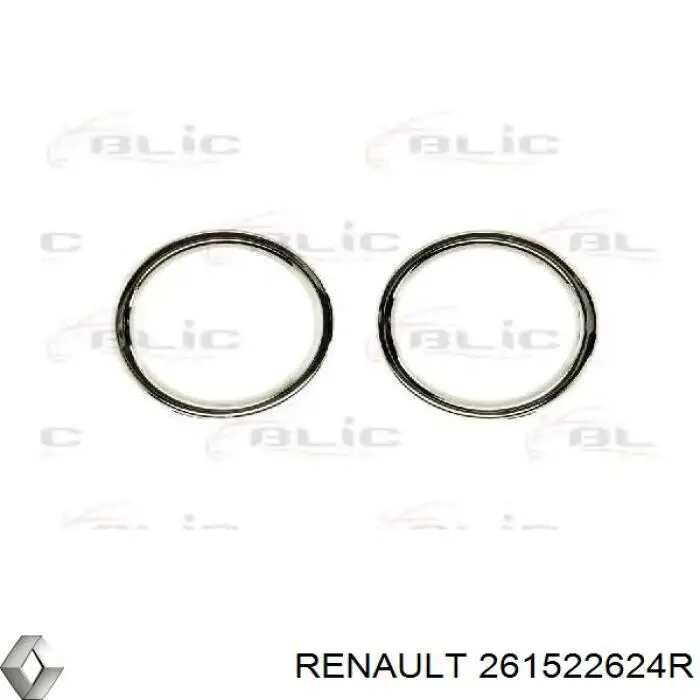  261522624R Renault (RVI)