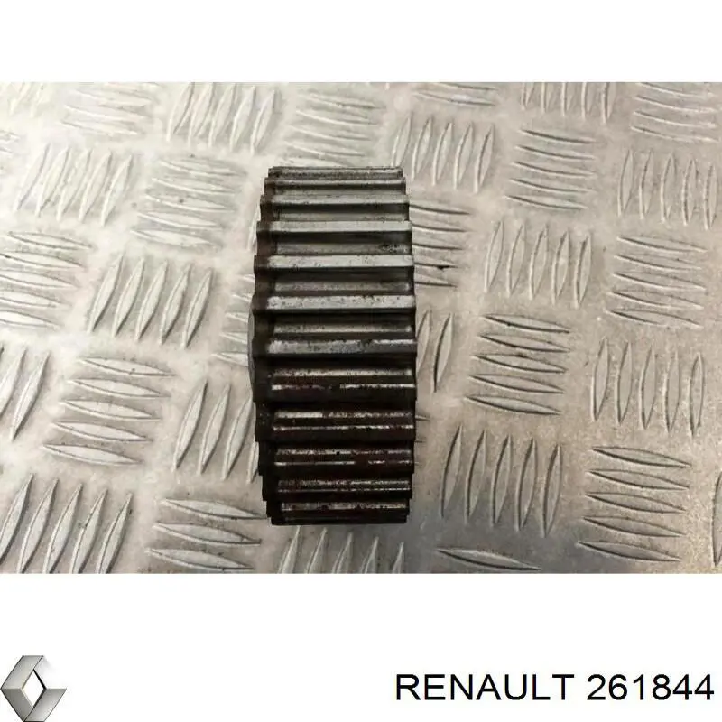 261844 Renault (RVI) 