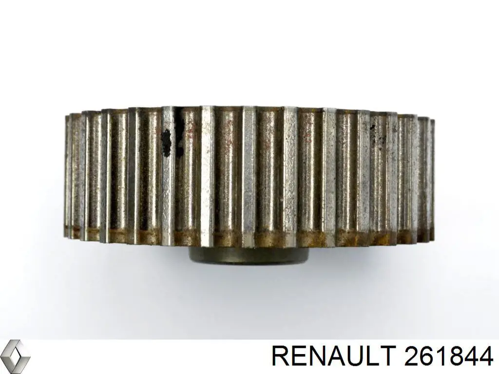 Купити 261844 Renault (RVI) 