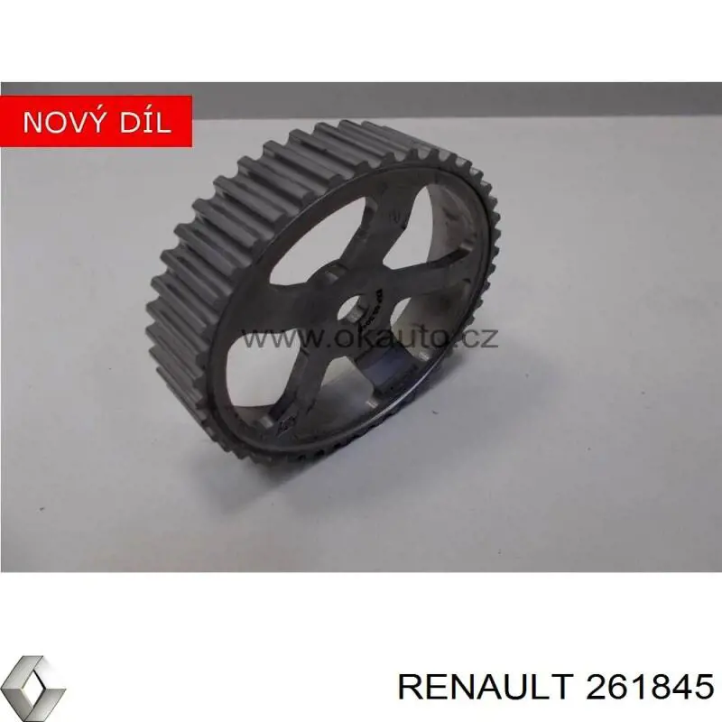  261845 Renault (RVI)