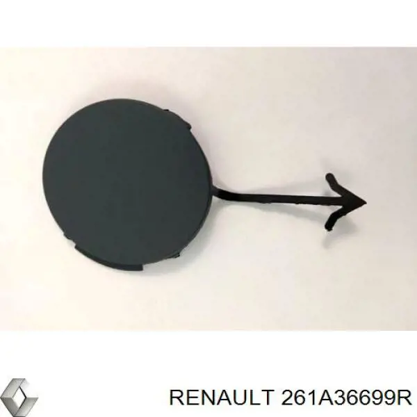 261A36699R Renault (RVI) 