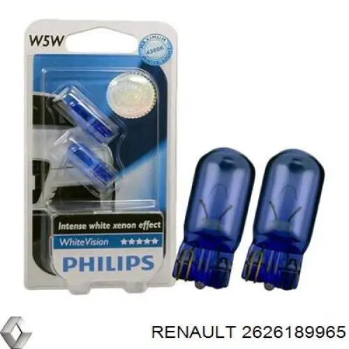 2626189965 Renault (RVI) 
