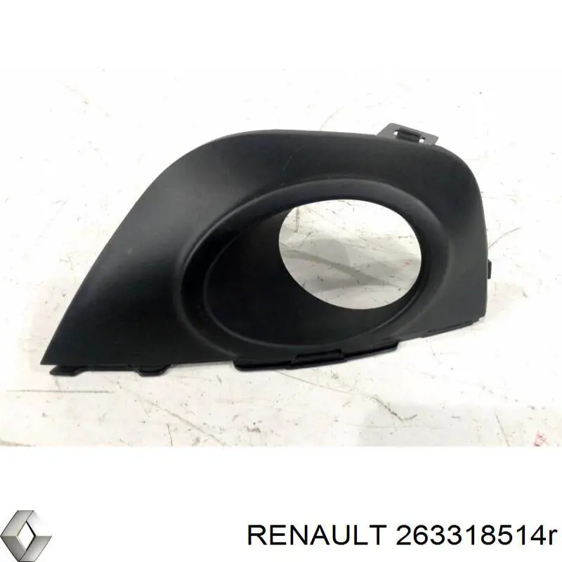  263318514R Renault (RVI)