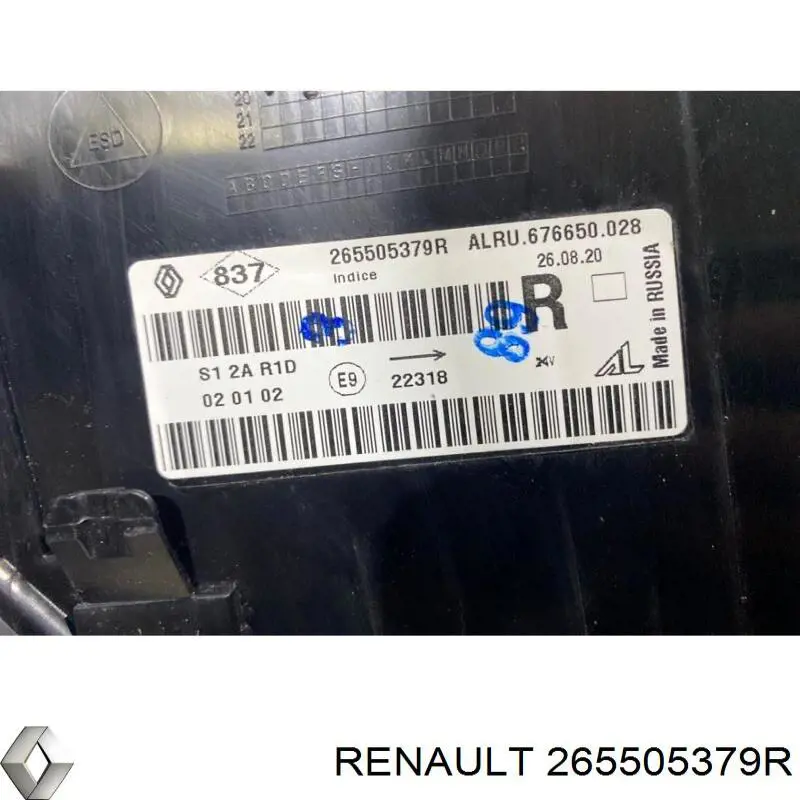 265505379R Renault (RVI) 