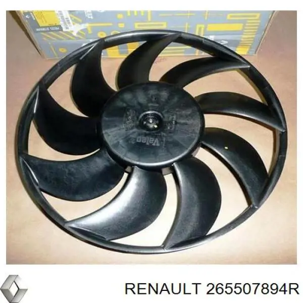  265507894R Renault (RVI)