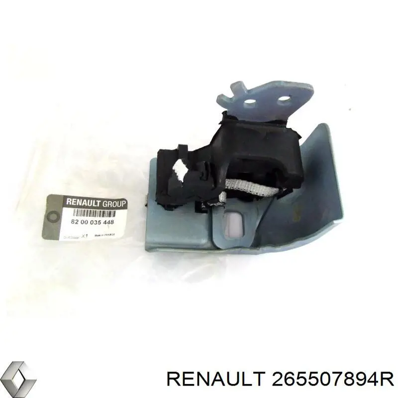  265507894R Renault (RVI)