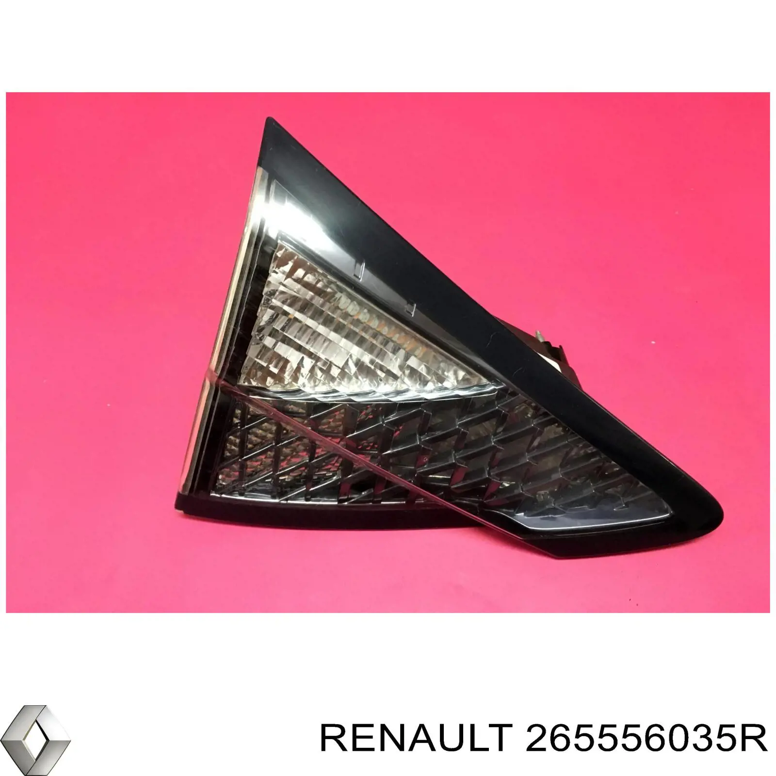  265556035R Renault (RVI)