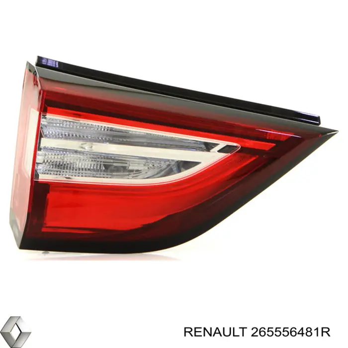  265556481R Renault (RVI)