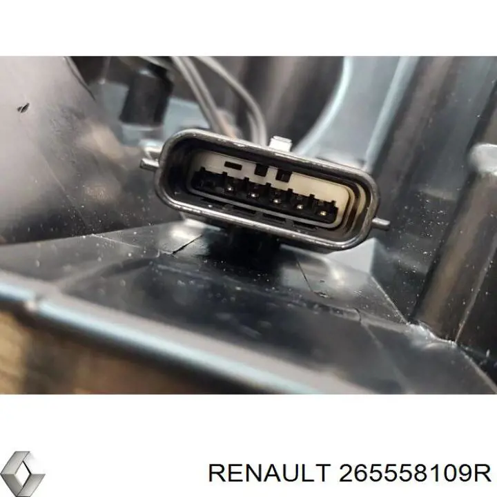 265558109R Renault (RVI) Задня ліва фара