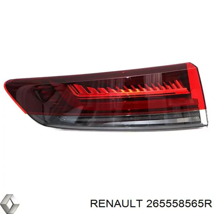  265558565R Renault (RVI)