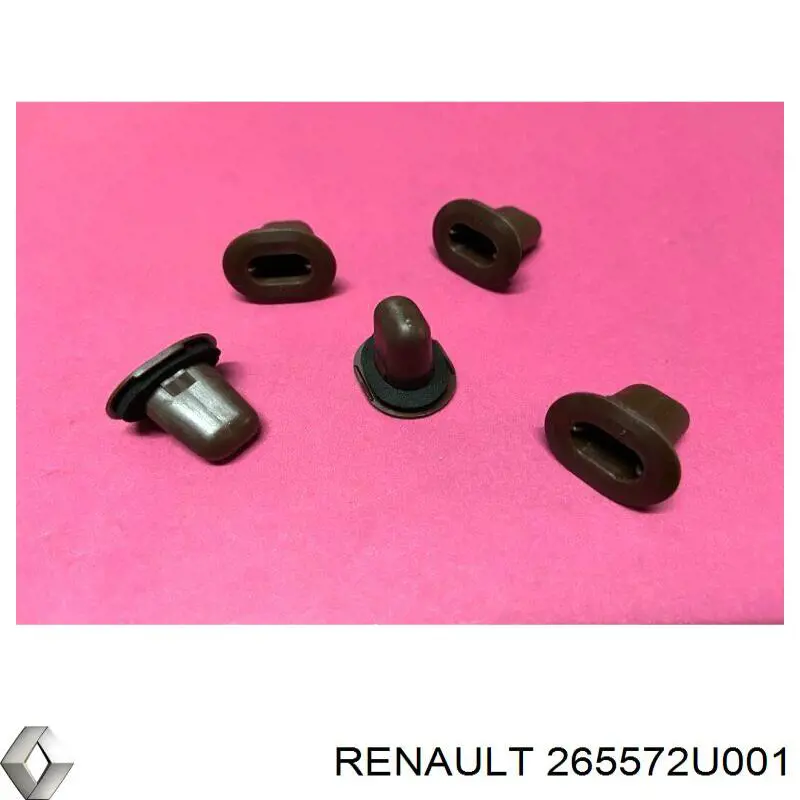 Купити 265572U001 Renault (RVI) 
